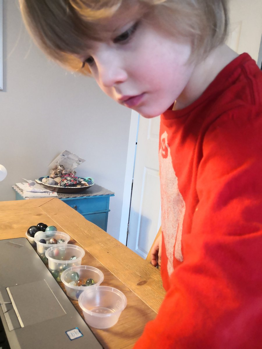 Lisa Savage tweet media