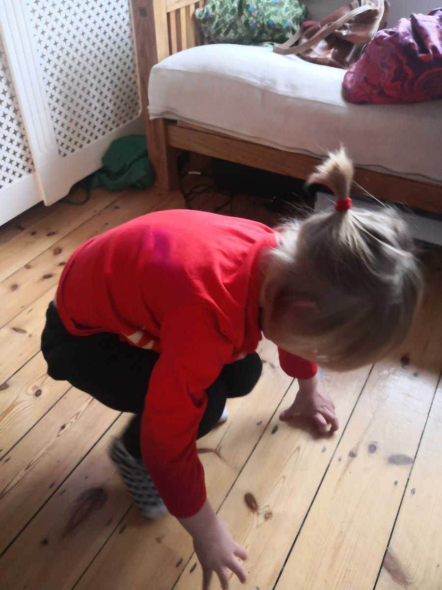 Lisa Savage tweet media