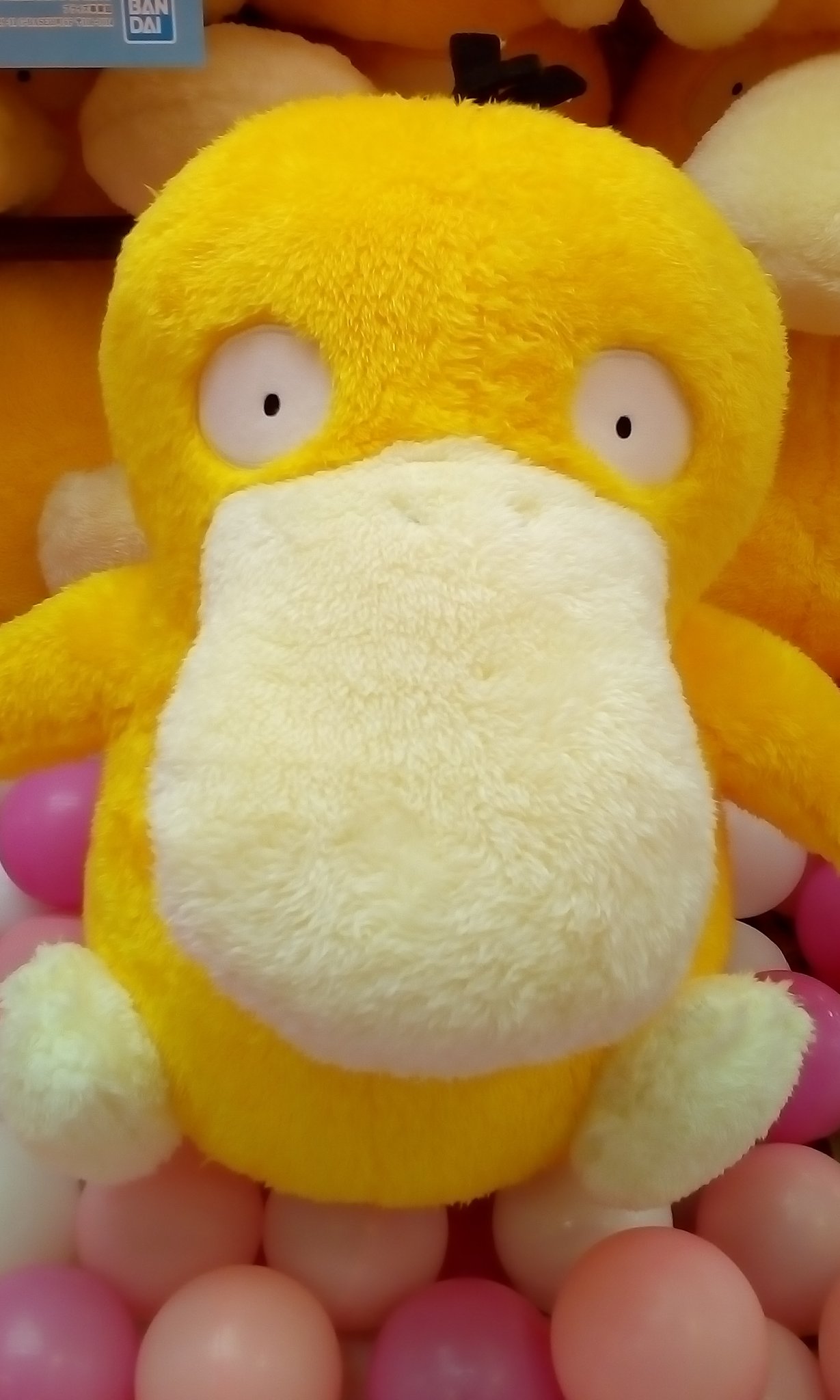 ゲームパニック京都 A Twitter 景品入荷情報 ポケットモンスター ほっこりいやされ めちゃでか コダック ぬいぐるみ ポケモン プライズ 河原町 クレーンゲーム Ufoキャッチャー ゲーパニ T Co E0jkz5tfgn Twitter