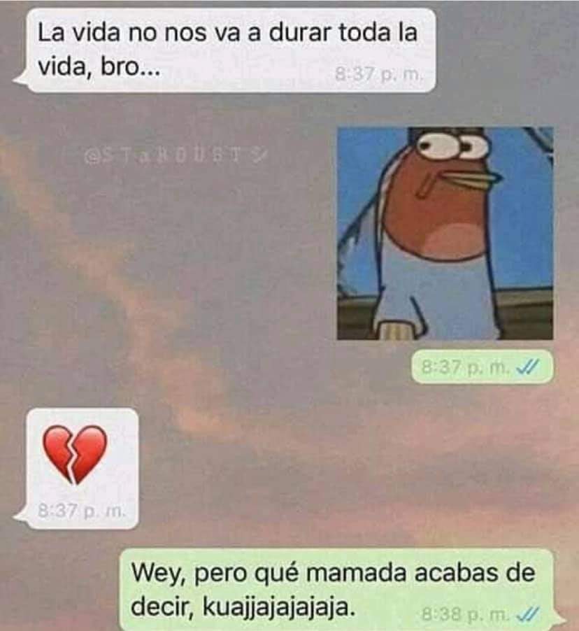 Chips_Fuego_'s tweet photo. Reflexiones de madrugada https://t.co/SdpK5HvNMK