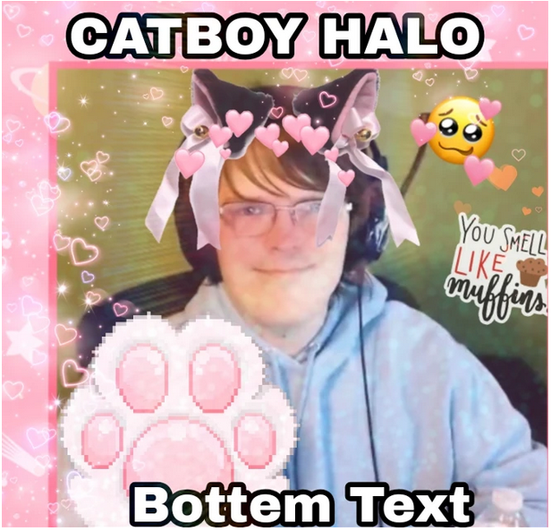 BadBoyHalo more like #catboyhalo 🐈