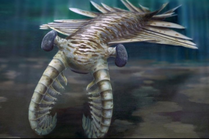 CleanBulborb's tweet image. If only I was him 🥺