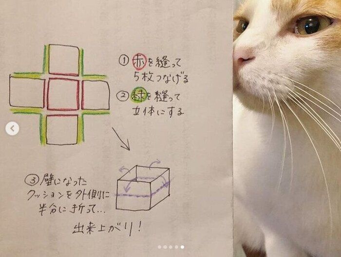 ごる猫 S っ Fwf っ 100均素材で作る冬の猫ベッド 4つのdiyアイデアをご紹介 ねこのきもちweb Magazine T Co Gwycr67do0