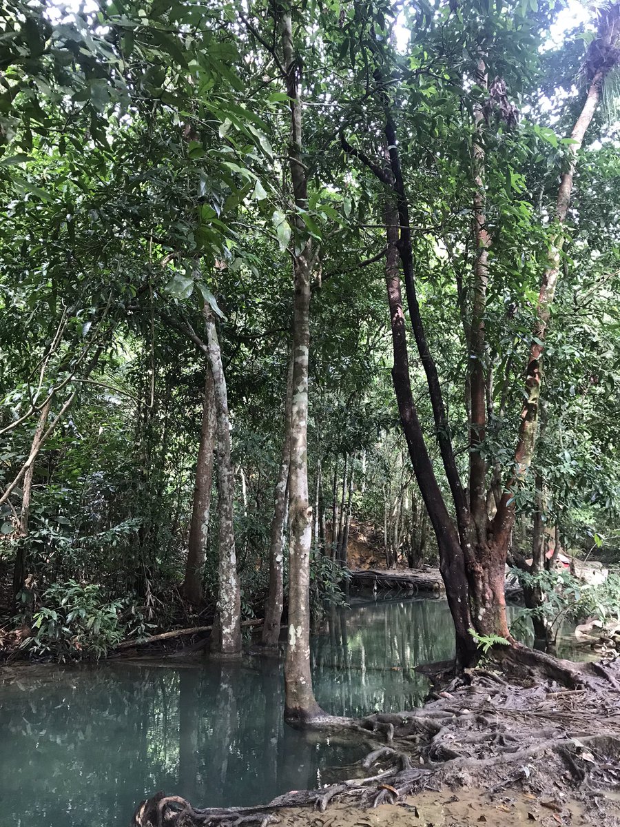 Affltp's tweet photo. Syurga tersembunyi Perlis ✨ No filter needed 🤟🏻🥺😍 https://t.co/nkcXvopYHP