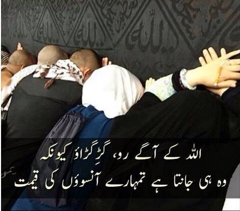saimaidris285's tweet photo. خوب آنکھوں سے لگایا ہے غلافِ کعبہ 
قصرِ محبوبﷺ کے پردے کا بھی جلوہ دیکھو https://t.co/lLpa7i0Tj1