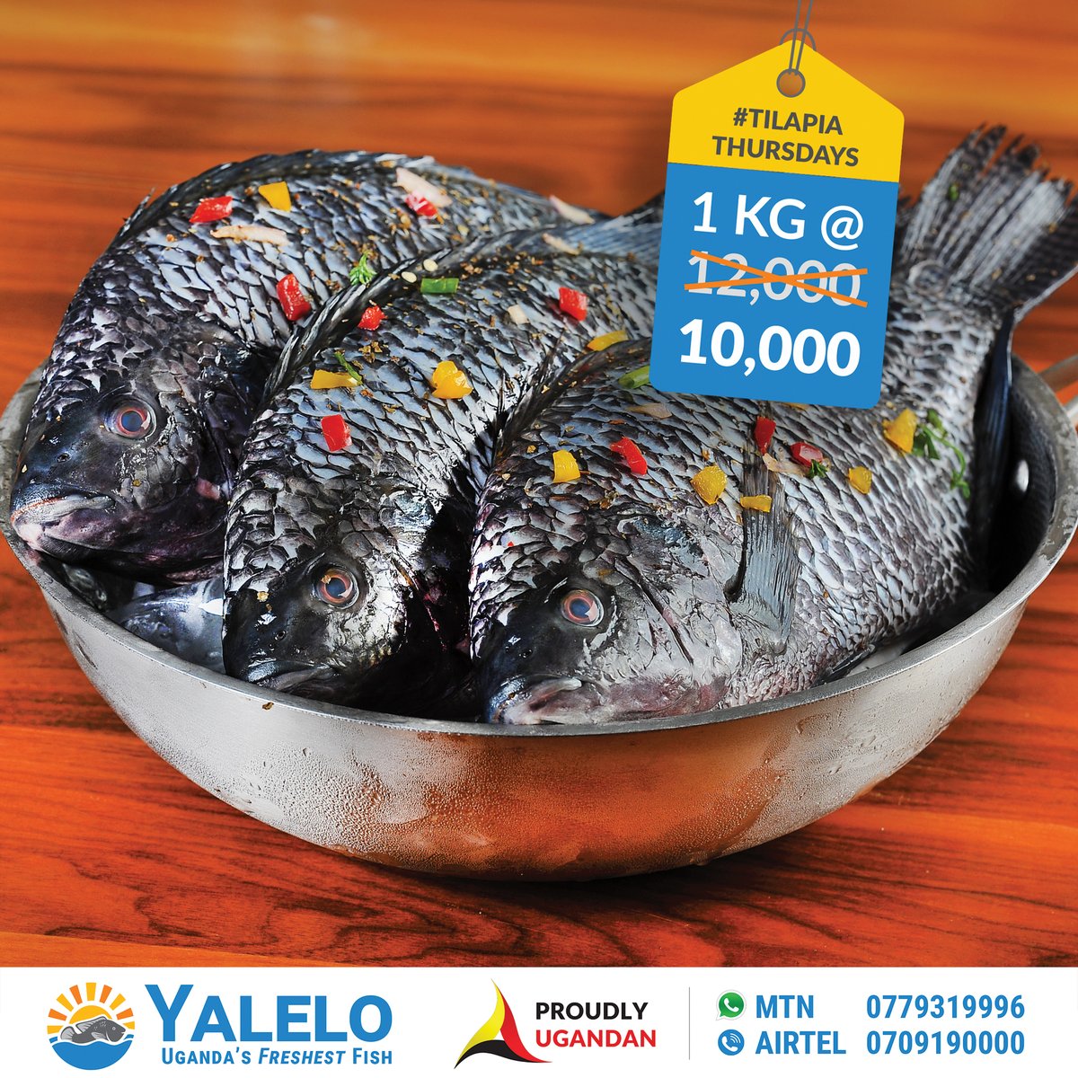 YaleloUganda's tweet photo. Say no to JanuWorry! 👉🏾 Visit us this #TilapiaThursday for INCREDIBLE DISCOUNTS! 1kg at 10k! Only at #YaleloUganda #UgandasFRESHESTFish Forus we got you 🏕️😉👌🏾 https://t.co/QUbNXHQflq