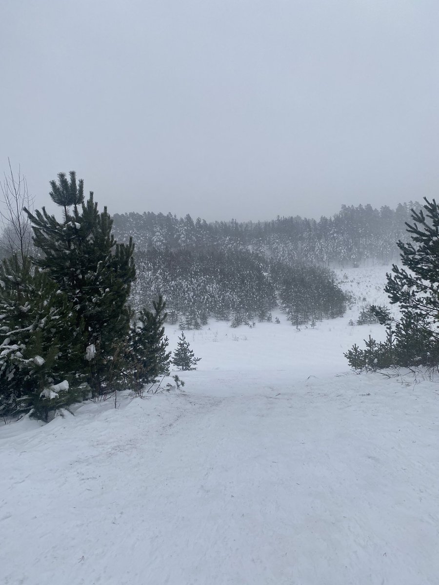 chrisdh1's tweet photo. Lovely winter walks in Finland #hamina #properwinter https://t.co/gJkK7taDQc