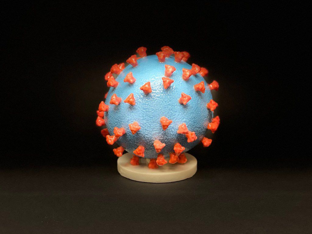 chanivito's tweet photo. Supervivencia del virus COVID-19 en fallecidos/Postmorten Stability of COVID-19 https://t.co/7f3HsEuiOz #covid19 #coronavirus #patologíaforense #forensicpathology https://t.co/qeMsj00w60
