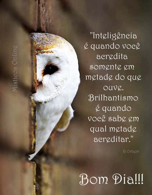 Misticos Online on Twitter: Misticos Online on Twitter: