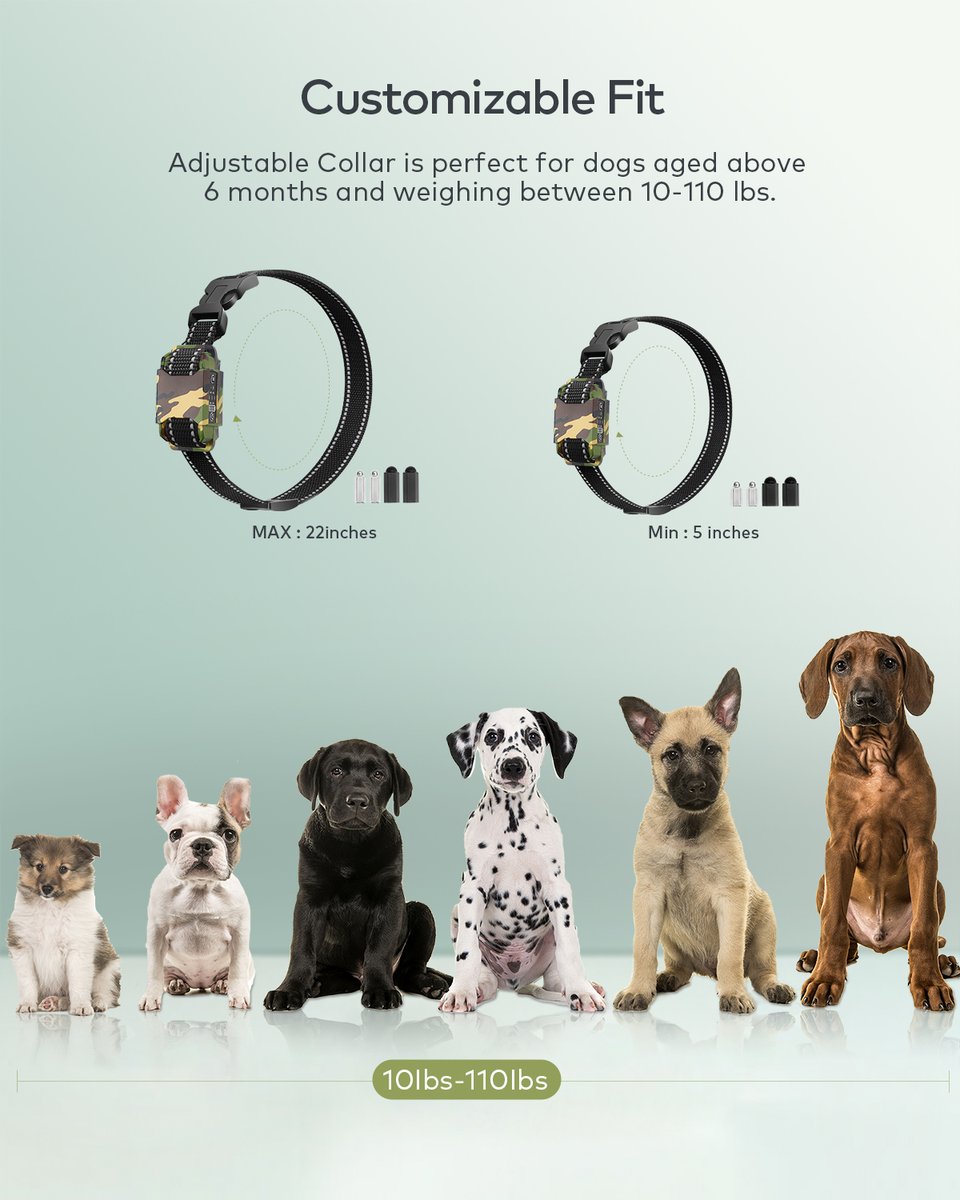 Only US Free Anti-bark collar for rev1ew. If you want it freen PM please. Cover PPfee andtax!
#bark #barkcollar #dogtraining #dogs #dog #puppylove #amazonreview #producttester #pitbull #chihuahua #bull #labradorite #labrador #goldenretriever #bago #shibain #bullybreed #freebies