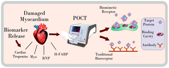 Sensors_MDPI's tweet image. Evaluation of #MolecularlyImprintedPolymers for Point-of-Care Testing for #CardiovascularDisease
@DcuBiotech 
👉mdpi.com/1424-8220/19/1…

#biomarkerdetection
#biosensor
