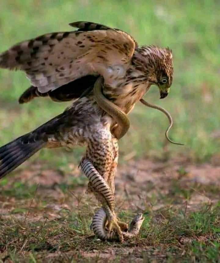 You may not have noticed, but the central principle of the Universe is the "Survival of the fittest".The Universe isn't emotional.It doesn't make decisions based on your feelings, moods or desires, but your commitment to riding the waves & making the most of what it provides...