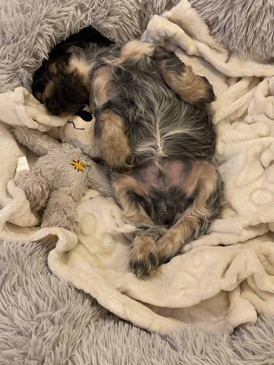 Ｋｉｃｋｉ Ｈｏｌｍ tweet media