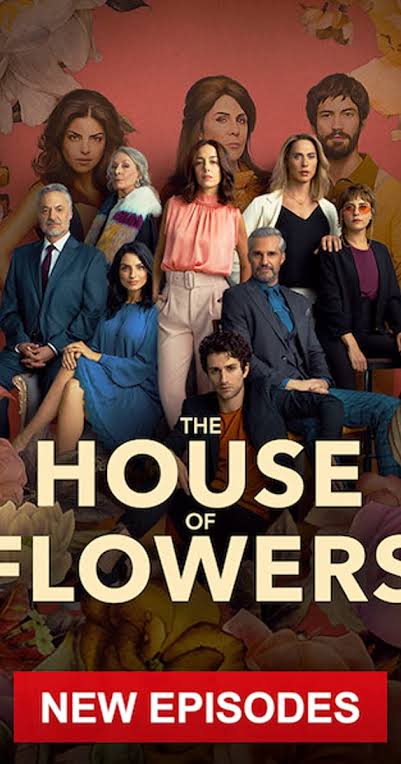 House of Flowers   Vs   Velvet