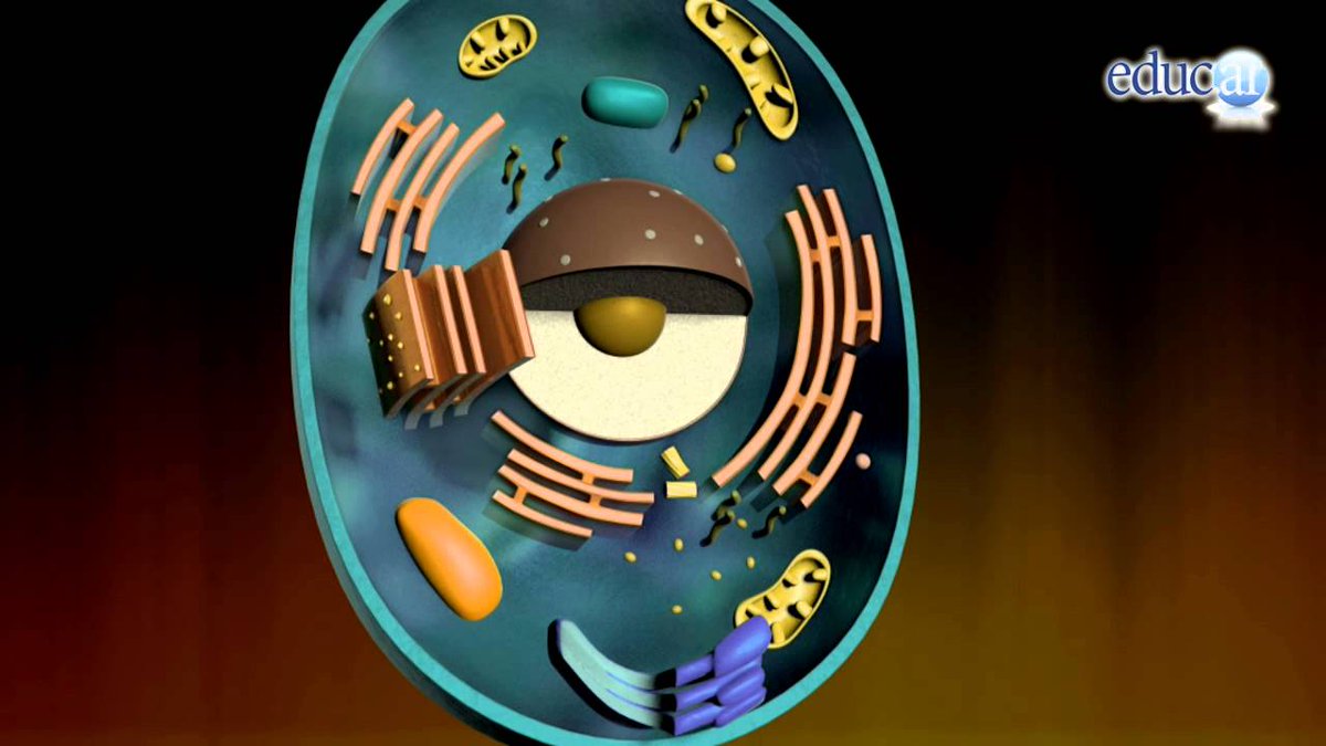 I open the cell thread