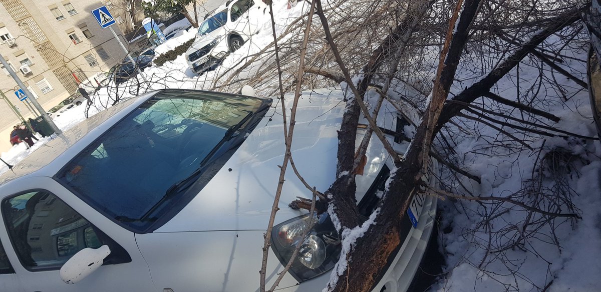 La_judith's tweet photo. @AytoMostoles @ambiental84 Y los árboles de encima de los coches para cuando?? https://t.co/V7eE0RHLym