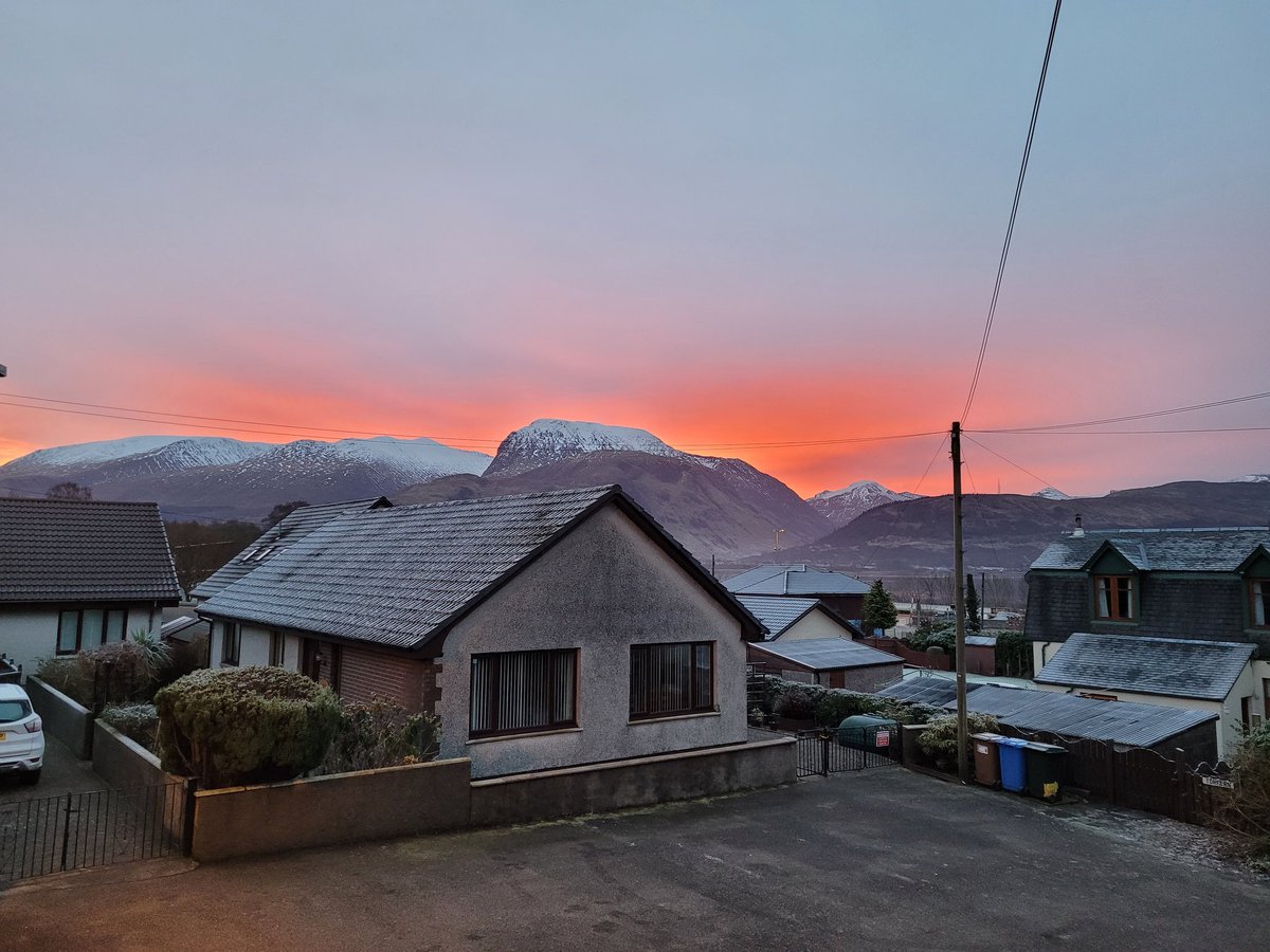 Stephen Scott tweet media