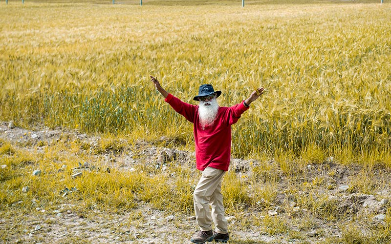 SadhguruJV's tweet photo. #Sankranti and #Pongal are about expressing gratitude to everything that makes our life. Go out, feel the air, and celebrate! #SadhguruQuotes https://t.co/DHrQMV7VhO