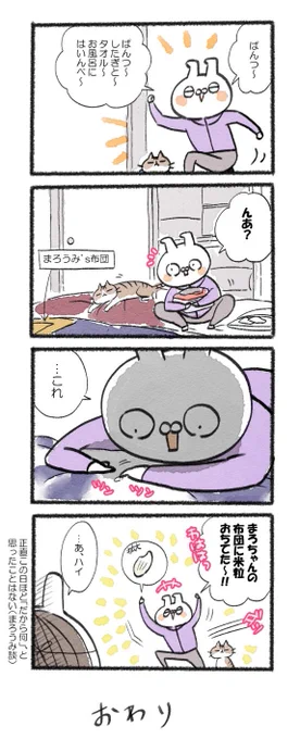 つい!嬉しくなっちゃってな!!わはは!!#るーさん #るー3 #日常 #日記 #4コマ漫画  