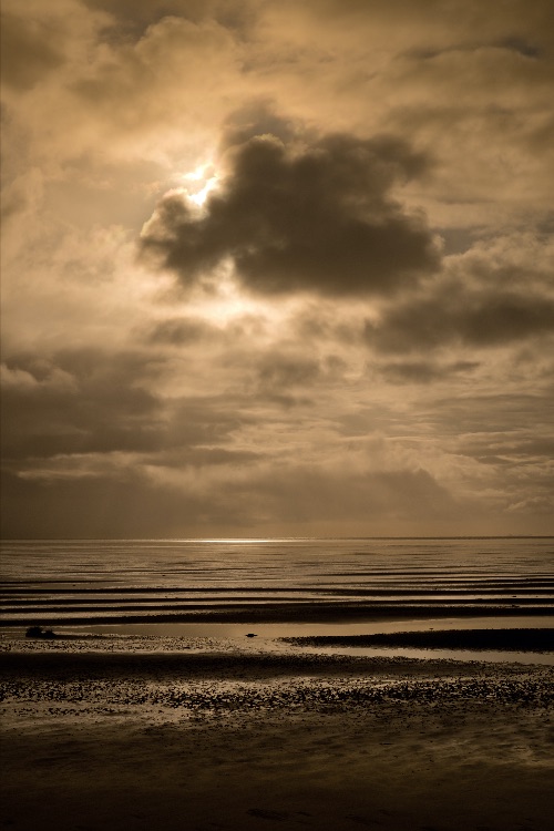Voor nu wil ik delen. Mijn verdriet. Mijn gedachtes. Door delen verbinden. De scherpe randjes van rouw weghalen. Aangespoeld, in memoriam: Joop Mulder - mailchi.mp/f421ca089608/a… #terschelling #oerol #liefdevoorjoop #senseofplace Foto: Danny van Mullekom