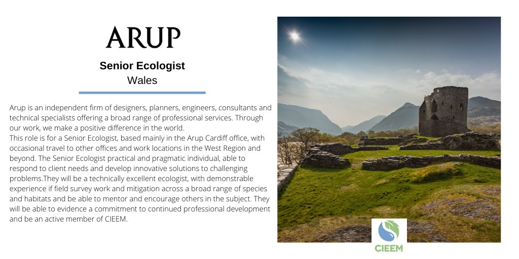 CIEEMnet's tweet image. cieem.net/job/senior-eco…