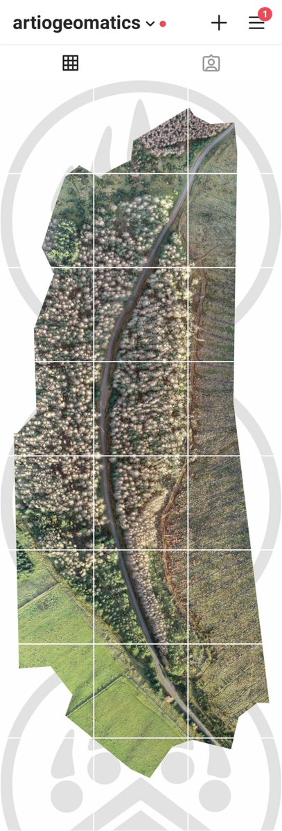 ArtioGeomatics's tweet photo. We've been struggling with how best to concisely demonstrate both the scale and detail of the orthomosaics we produce, but we think we might have cracked it with this effort. More to come - head over to our Instagram page for the full effect!

https://t.co/zyRDAueOg4 https://t.co/ladfQDEOYX