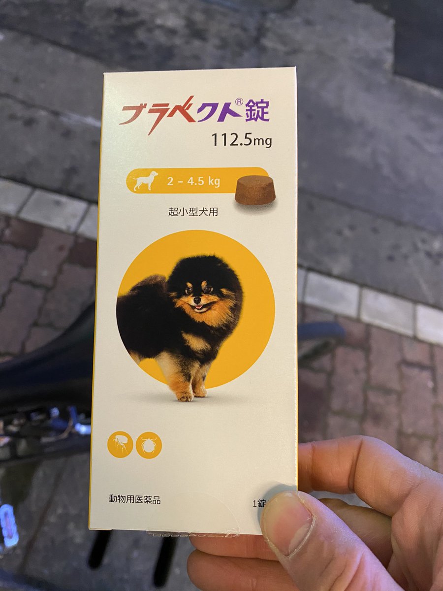 疥癬 疥癬