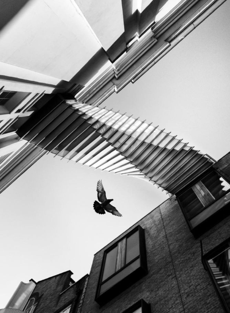 Leica_UK's tweet photo. Leica Ambassador, Alan Schaller, has continued exploring the city of London with his Leica M10 Monochrom. He's also been using the Leica Noctilux 50mm lens, pushing the hyperfocal distance technique to the limit. #LeicaM #MasterTheM https://t.co/VnIEjmHboS https://t.co/PDUNMc9ciu