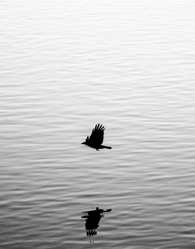 Leica_UK's tweet photo. Leica Ambassador, Alan Schaller, has continued exploring the city of London with his Leica M10 Monochrom. He's also been using the Leica Noctilux 50mm lens, pushing the hyperfocal distance technique to the limit. #LeicaM #MasterTheM https://t.co/VnIEjmHboS https://t.co/PDUNMc9ciu