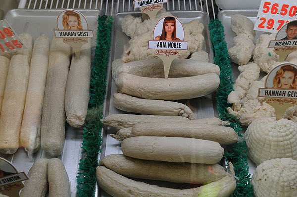 Aoki アンチヴァイラル セレブが感染したウイルスや肉 皮膚を体に取り入れセレブと同一化する快楽 近未来カニバリズムの怪作 狂った世界を目の当たりにする108分 狂気とアートが融合した映像 でも気持ち悪い そこがいい 病的なイケメン注射技師が謎