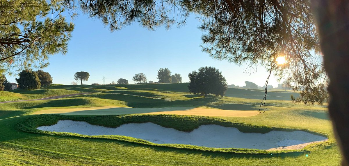 European Golf Design tweet media