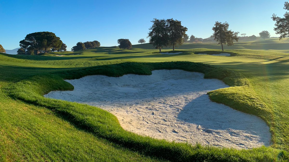 European Golf Design tweet media