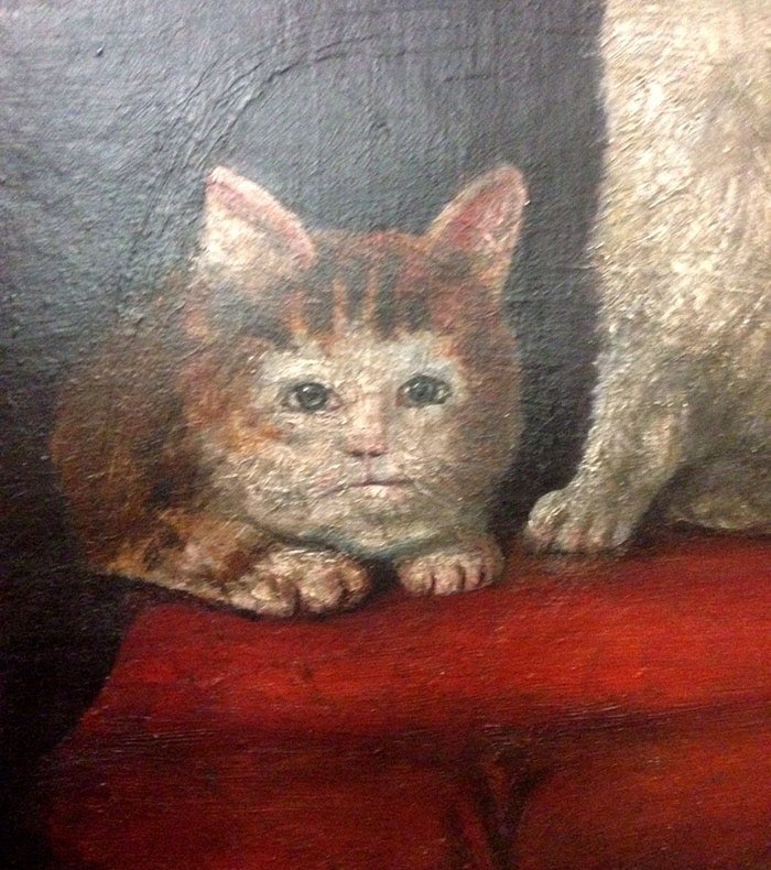 no thoughts only renaissance cats