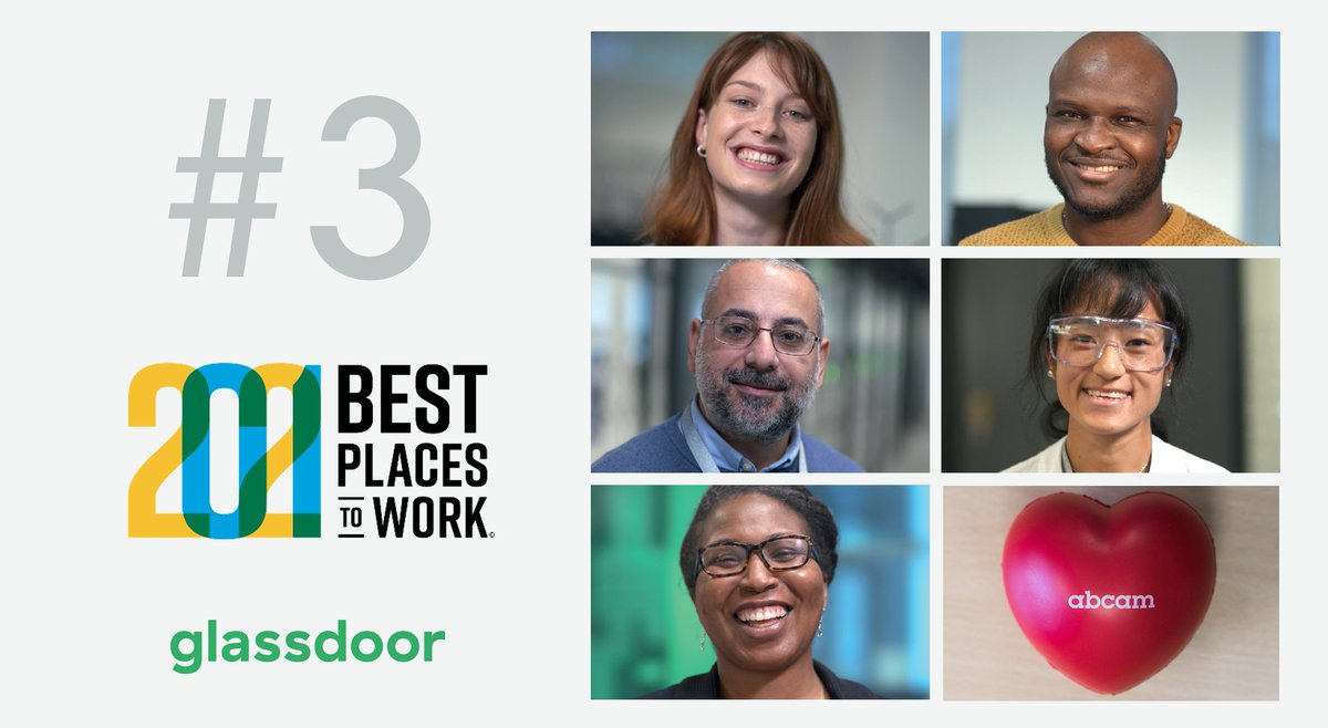 HirzelAlan's tweet photo. Great team, inspiring purpose, and more to build @abcam.  Thank you for the recognition @GlassdoorUK @Glassdoor.  Join us! #makinganimpact https://t.co/7CwFwYHKAz