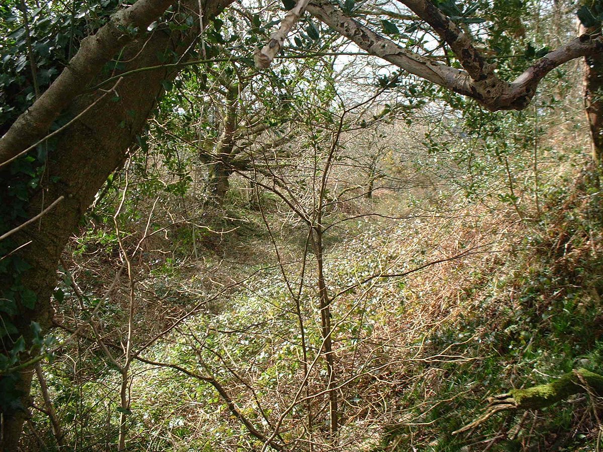 Overlooking the Char valley  @DorsetAONB the ramparts of Coney's Castle hillfort  @NatTrustArch  @nationaltrust remain mightily impressive The views from the top are pretty special too!Can't wait to go back there when it's possible to go out again... #HillfortsWednesday
