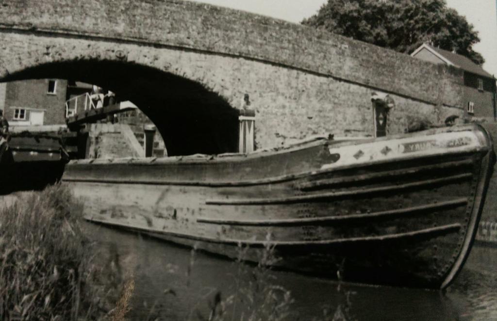 Some pictures from the Willow wren days.