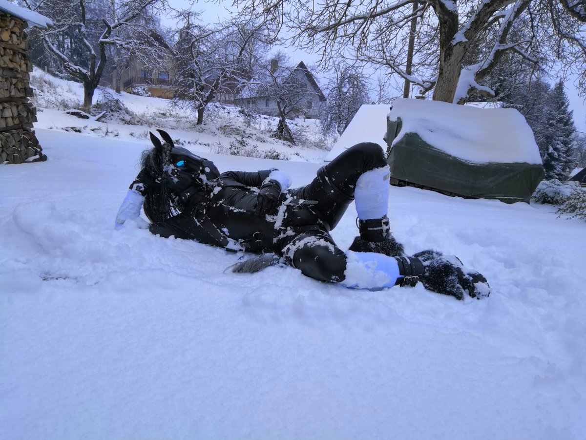 ArchonStallion's tweet photo. Just some horse enjoying the snow @BlackPorthos @AramisThePony @athosthehorse #ponyplay #humanhorse #blackhorse #horse #pony #stallion #snow #winter #outdoor #joy #snowtime #snowhorse #cold https://t.co/fiIyblnvuB