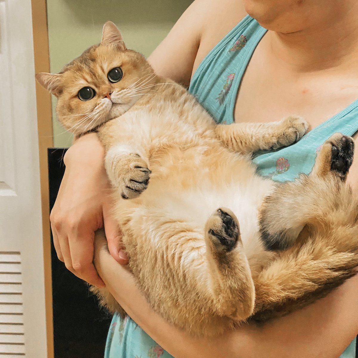toasted_elvis's tweet photo. ให้ท้ายกันจริงๆเล้ยยยยยย 🙄 https://t.co/0TTtFmRfF6
