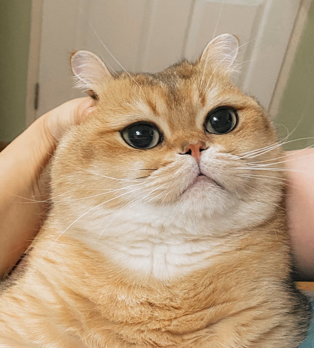 toasted_elvis's tweet photo. ให้ท้ายกันจริงๆเล้ยยยยยย 🙄 https://t.co/0TTtFmRfF6