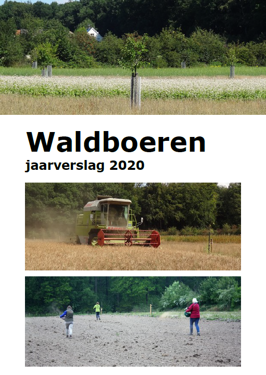 Bart Willers (@bartwillers) on Twitter photo Jaarverslag Waldboeren 2020 online ploegdriever.nl/waldboeren/! Start op 4 ha met aanplant #Agroforestry en meteen 1e jaar van oergraan tot brood <a href="/ViaStichting/">Stichting Via Natura</a> <a href="/gem_Nijmegen/">Gemeente Nijmegen</a> <a href="/HBNijmegen/">Herenboeren Nijmegen</a> @caringfarmers <a href="/ZLTORvNijmegen/">ZLTO RijkvanNijmegen</a> @VWGNijmegen <a href="/bergendalgem/">Gemeente Berg en Dal</a> <a href="/kiekdor/">kiekdor</a> <a href="/graangeluk/">graangeluk</a> <a href="/PloegdrieverANV/">Ploegdriever</a> Jaarverslag Waldboeren 2020 online ploegdriever.nl/waldboeren/! Start op 4 ha met aanplant #Agroforestry en meteen 1e jaar van oergraan tot brood <a href="/ViaStichting/">Stichting Via Natura</a> <a href="/gem_Nijmegen/">Gemeente Nijmegen</a> <a href="/HBNijmegen/">Herenboeren Nijmegen</a> @caringfarmers <a href="/ZLTORvNijmegen/">ZLTO RijkvanNijmegen</a> @VWGNijmegen <a href="/bergendalgem/">Gemeente Berg en Dal</a> <a href="/kiekdor/">kiekdor</a> <a href="/graangeluk/">graangeluk</a> <a href="/PloegdrieverANV/">Ploegdriever</a>