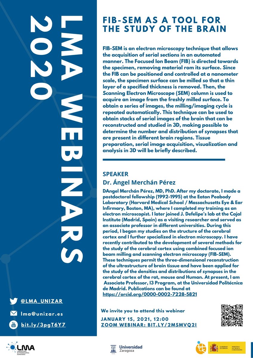 Laboratorio de Microscopías Avanzadas (@lma_unizar) on Twitter photo Este viernes tercer LMA webinars 2020, 12h 🧠👨💻 "FIB-SEM as a tool for the study of the brain". Ponente: Dr. Ángel Merchán, de <a href="/La_UPM/">Universidad Politécnica de Madrid</a> con <a href="/INA_Unizar/">INA Unizar</a> <a href="/ICMA_Aragon/">ICMA-Instituto de Ciencia de Materiales de Aragón</a> <a href="/INMAdivulga/">INMAdivulga</a>
Síguenos en ZOOM ➡️ bit.ly/2MSmVQ2
#nanoscience #nanociencia #nanotechnology #ICTSnews Este viernes tercer LMA webinars 2020, 12h 🧠👨💻 "FIB-SEM as a tool for the study of the brain". Ponente: Dr. Ángel Merchán, de <a href="/La_UPM/">Universidad Politécnica de Madrid</a> con <a href="/INA_Unizar/">INA Unizar</a> <a href="/ICMA_Aragon/">ICMA-Instituto de Ciencia de Materiales de Aragón</a> <a href="/INMAdivulga/">INMAdivulga</a>
Síguenos en ZOOM ➡️ bit.ly/2MSmVQ2
#nanoscience #nanociencia #nanotechnology #ICTSnews