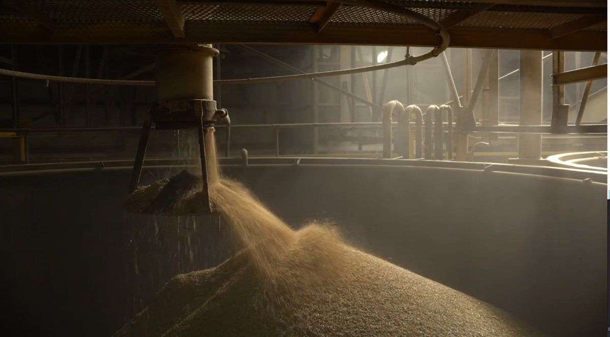 Dear friends, We will start tomorrow screenings of the last but not the least Now&amp;After’20 online program on VisualcontainerTV web channel. You are welcome day and night from January 14 to January 27! Now&amp;After’20 topic is COLORS BETWEEN PAST AND FUTURE. 
visualcontainer.tv