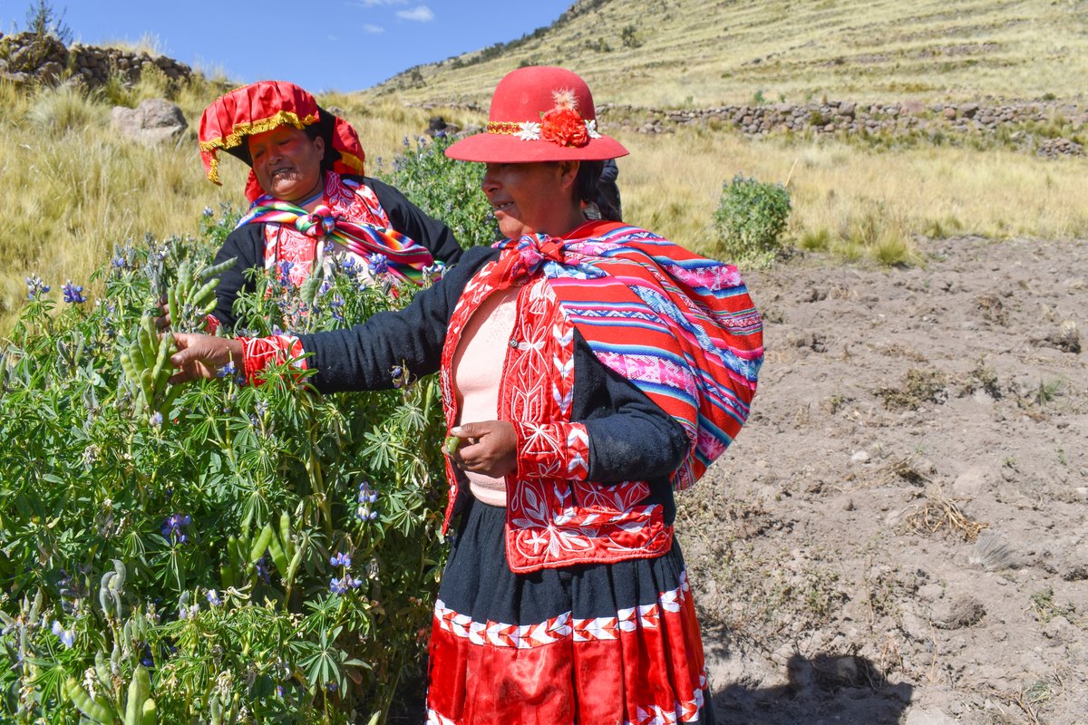 CAFODLeeds's tweet photo. Good morning #DioceseofLeeds tweeps!
Grab a cuppa at 11am and join #CAFOD Lucy Jardine's talk on impacts of mining on access to clean water in indigenous communities, #Peru #coffebreak #elevensies #11oclock #listenlive #stayconneccted Register now! https://t.co/UWNRraayBn https://t.co/m7aWOX76h1