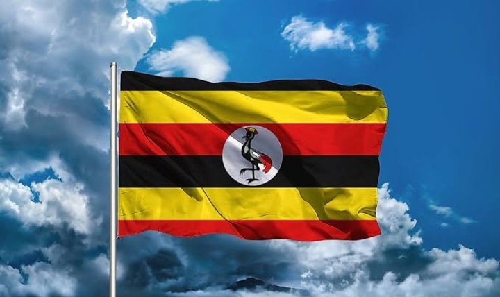 Ugobueze14's tweet photo. Save Uganda by Retweeting
As we did for #Endsars 
Together we can build Africa
#weareremovingthedictator #weareremovingthedictator https://t.co/xbeYBdWG1X