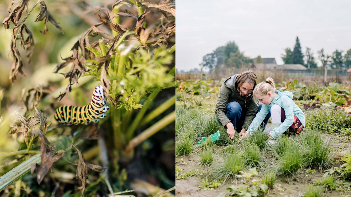 aardpeer's tweet image. Eindelijk! @Aardpeer, samen voor grond lanceert op 27 januari. Voor landbouw, gemeenschapszin én natuur! Kom naar het lanceringswebinar en versnel met ons de transitie naar een sociale- en natuurvriendelijke voedselketen. #voorgrond Tickets: lnkd.in/d7uhNVS