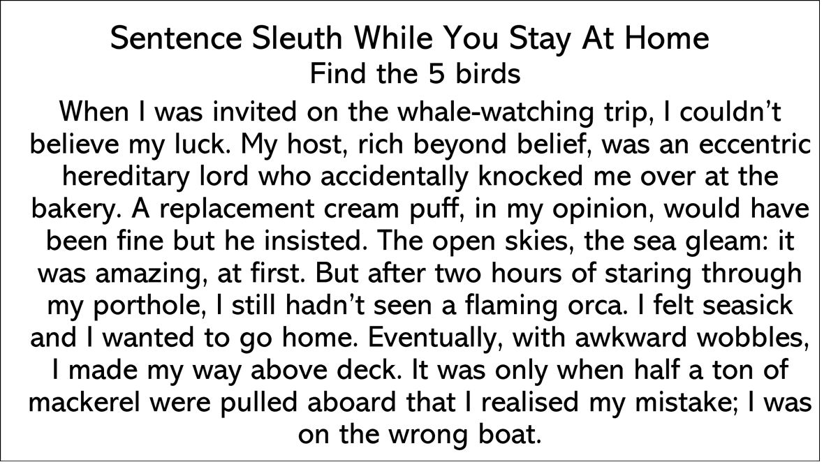 QuizzesByHugo's tweet photo. Sentence Sleuth 9: Find the 5 birds hidden in this disastrous whale watching trip https://t.co/9ns3HcsJCA