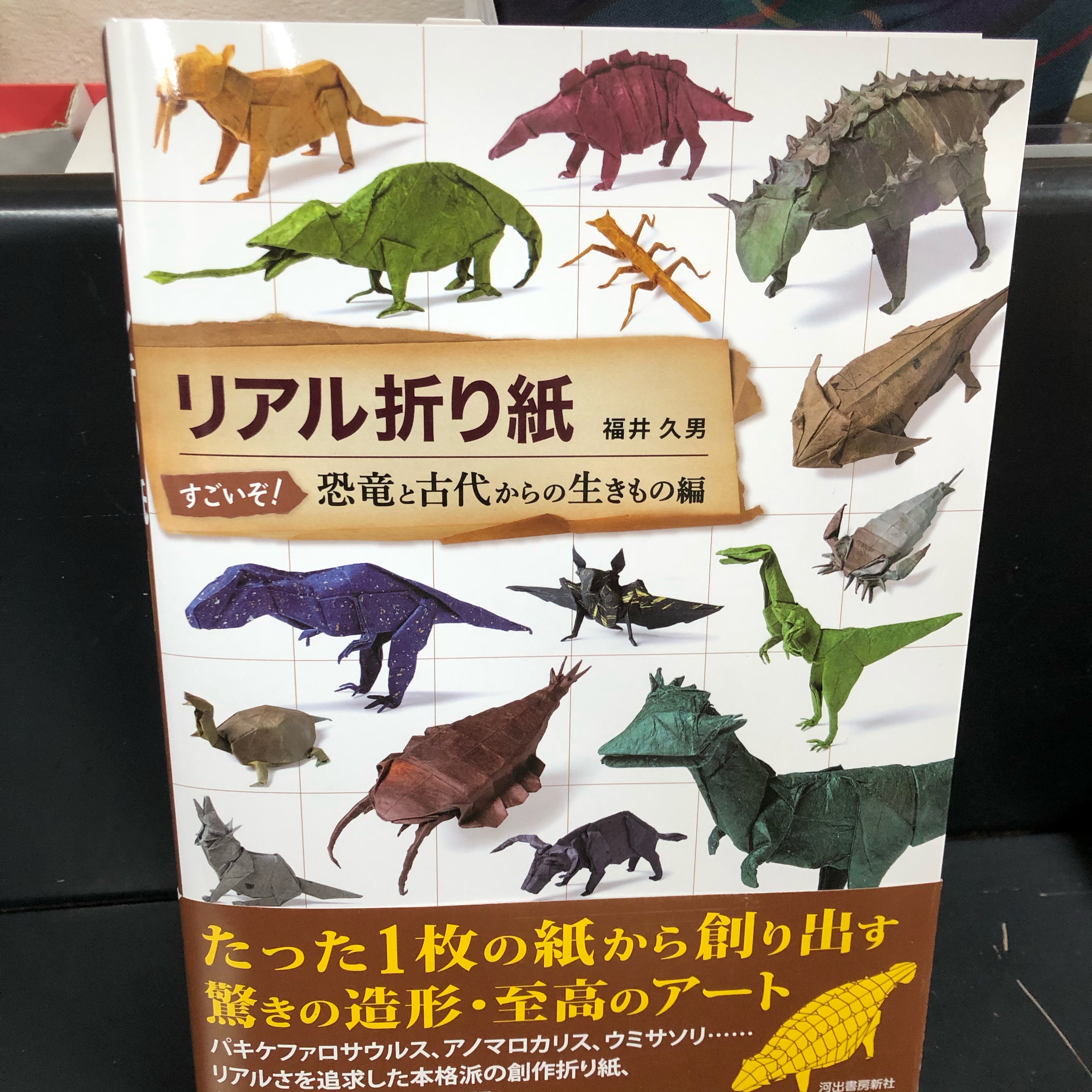 小濱書店 松阪駅前 リアル折り紙 すごいぞ 恐竜と古代からの生きもの編 コウモリがいます T Co Iho1oejqcm Twitter