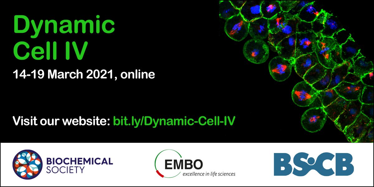 Biochemical Society (@biochemsoc) on Twitter photo There's a fantastic line-up of speakers at our #DynamicCell online conference - <a href="/ManuelTHERY/">THERY Manuel</a> <a href="/talbotlabTSL/">Nick Talbot</a> <a href="/YanlanMao/">Yanlan Mao</a> @i_jayas <a href="/DorisHoeglinger/">Doris Hoeglinger</a> <a href="/micromotility/">Kirsty Wan 🔬</a> <a href="/VaishAnanth/">Vaishnavi Ananthanarayanan (She/Her)</a> <a href="/BenoitKornmann/">Benoît Kornmann</a> <a href="/Marston_lab/">Adele Marston</a> <a href="/DumontLab/">Sophie Dumont</a> <a href="/MullinsLab/">Dyche Mullins et al.</a> <a href="/IChambersLab/">ChambersLab</a> <a href="/Official_BSCB/">BSCB</a> bit.ly/Dynamic-Cell-IV There's a fantastic line-up of speakers at our #DynamicCell online conference - <a href="/ManuelTHERY/">THERY Manuel</a> <a href="/talbotlabTSL/">Nick Talbot</a> <a href="/YanlanMao/">Yanlan Mao</a> @i_jayas <a href="/DorisHoeglinger/">Doris Hoeglinger</a> <a href="/micromotility/">Kirsty Wan 🔬</a> <a href="/VaishAnanth/">Vaishnavi Ananthanarayanan (She/Her)</a> <a href="/BenoitKornmann/">Benoît Kornmann</a> <a href="/Marston_lab/">Adele Marston</a> <a href="/DumontLab/">Sophie Dumont</a> <a href="/MullinsLab/">Dyche Mullins et al.</a> <a href="/IChambersLab/">ChambersLab</a> <a href="/Official_BSCB/">BSCB</a> bit.ly/Dynamic-Cell-IV