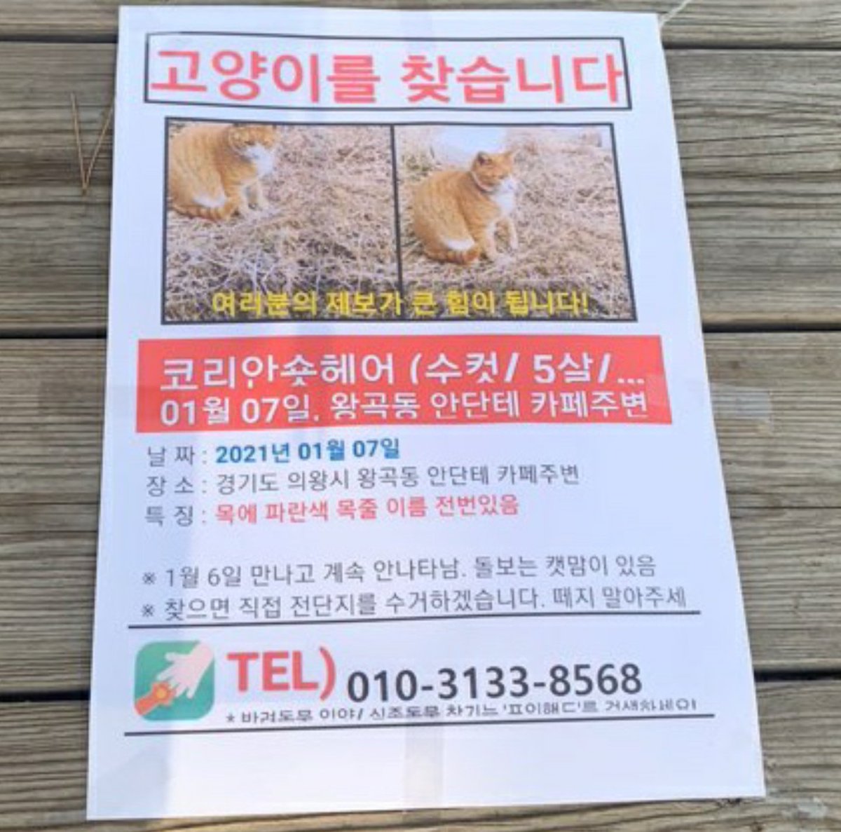 알티 부탁드립니다!!