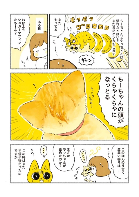 愛のモヒカン 